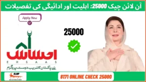 8171 Online Check 25000