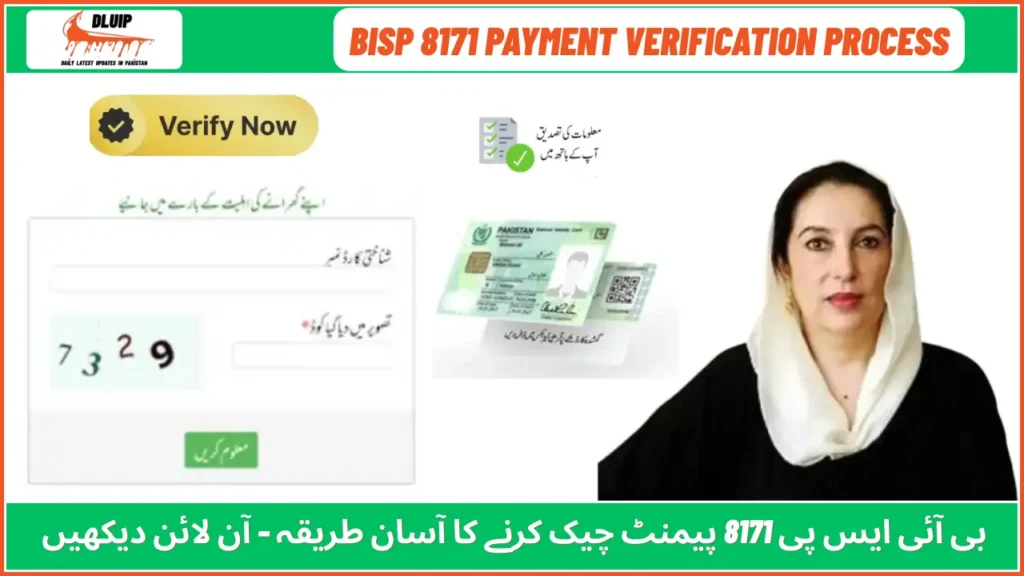 8171 Payment Verification Process
