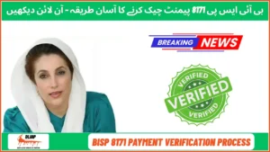 BISP 8171 Payment Verification Process