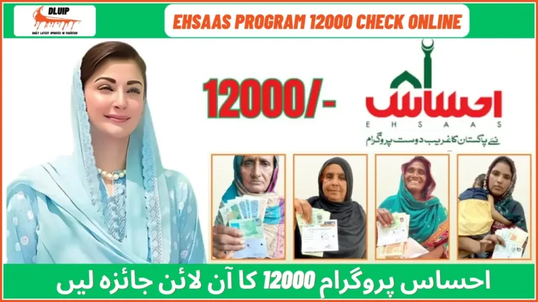 Check Ehsaas Program 12000 Online: Confirm Your Eligibility