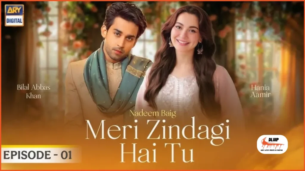 Meri Zindagi Hai Tu Drama