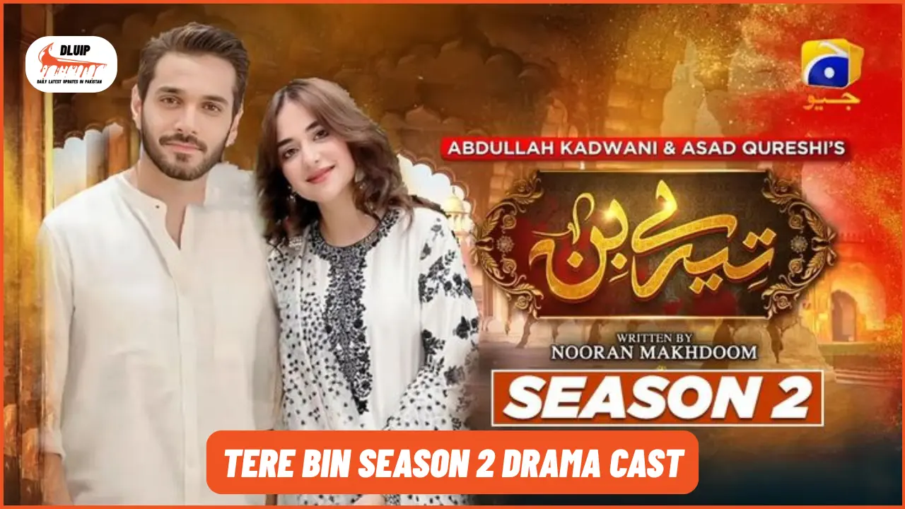 Tere Bin Season 2 Drama Cast